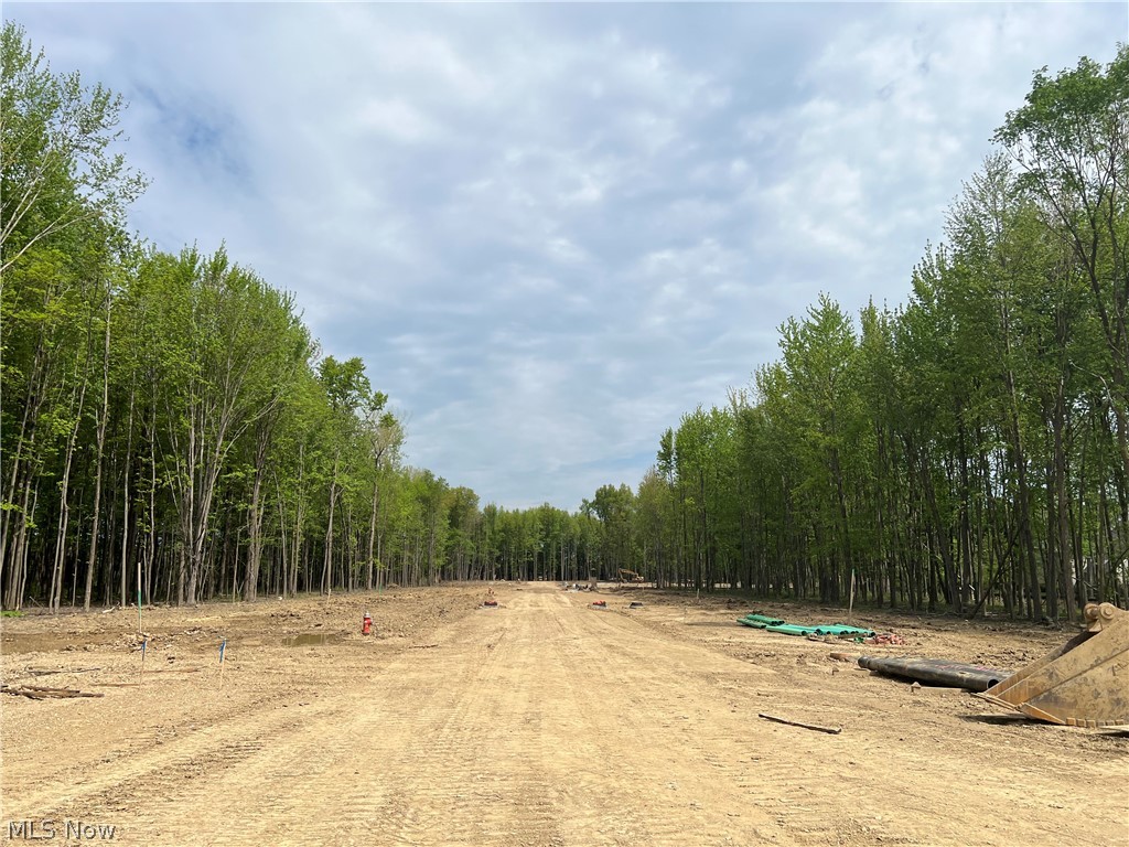 31587 Turtle Creek Westlake OH 44145