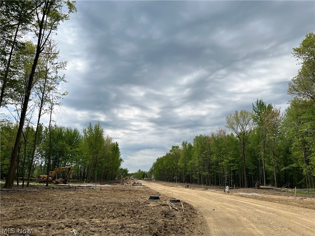 31587 Turtle Creek Westlake OH 44145