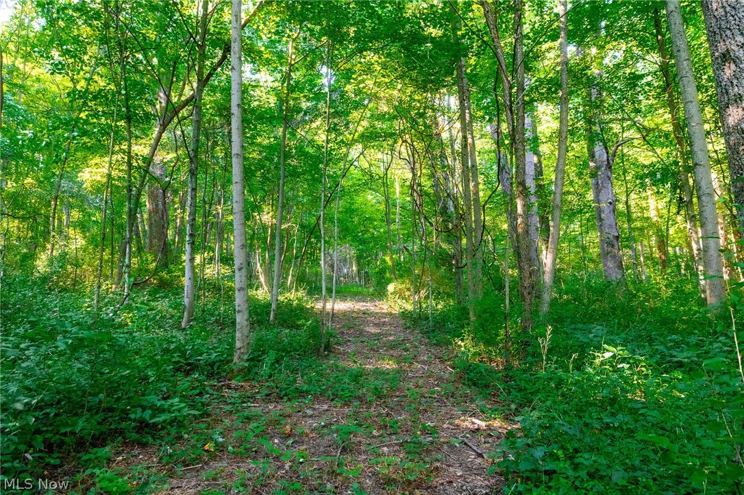 9982 SW Erie Avenue Beach City OH 44608
