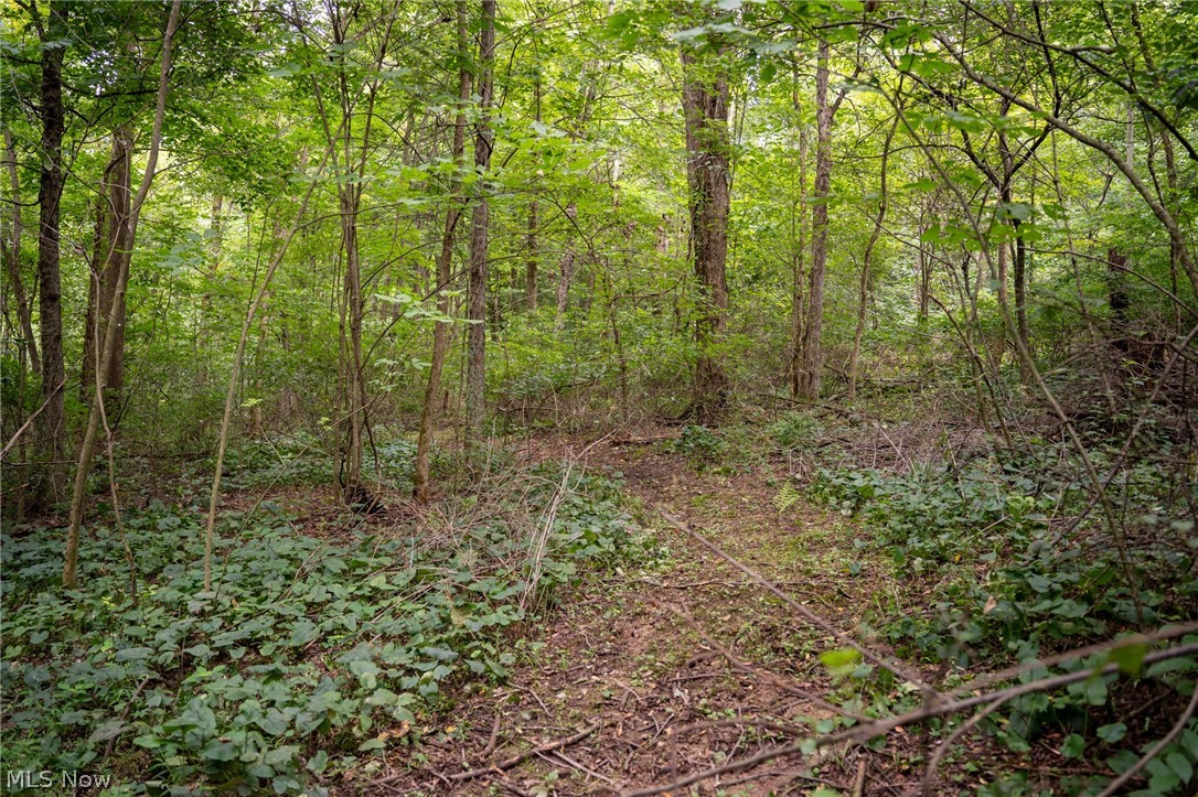 21626 Trail 80 Warsaw OH 43844