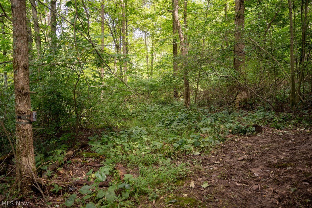 21626 Trail 80 Warsaw OH 43844