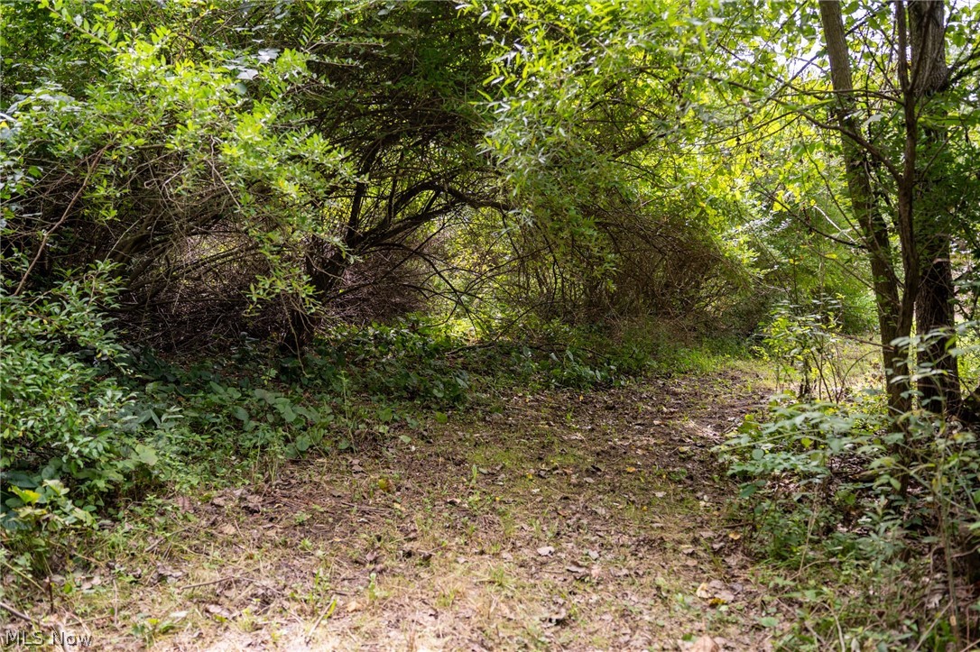 21626 Trail 80 Warsaw OH 43844