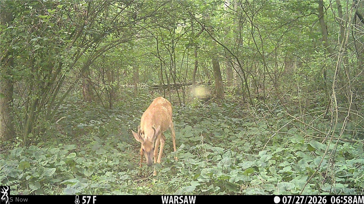 21626 Trail 80 Warsaw OH 43844