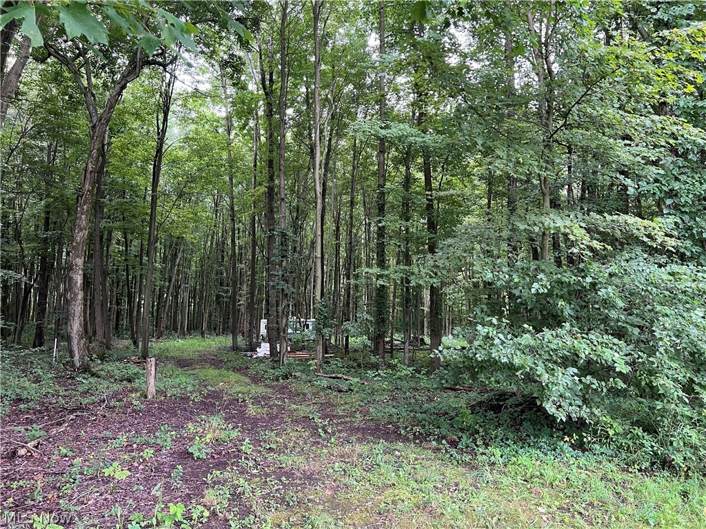6124 Root Road Conneaut OH 44030