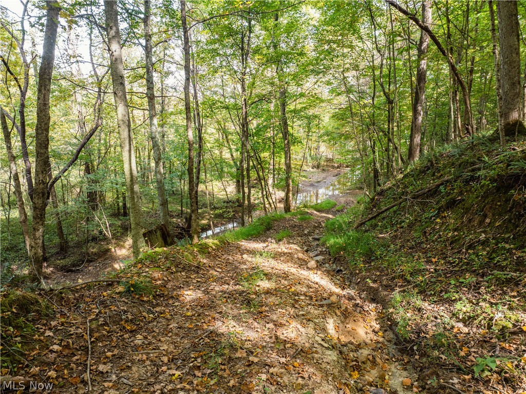 5871 State Route 204 Mount Perry OH 43760