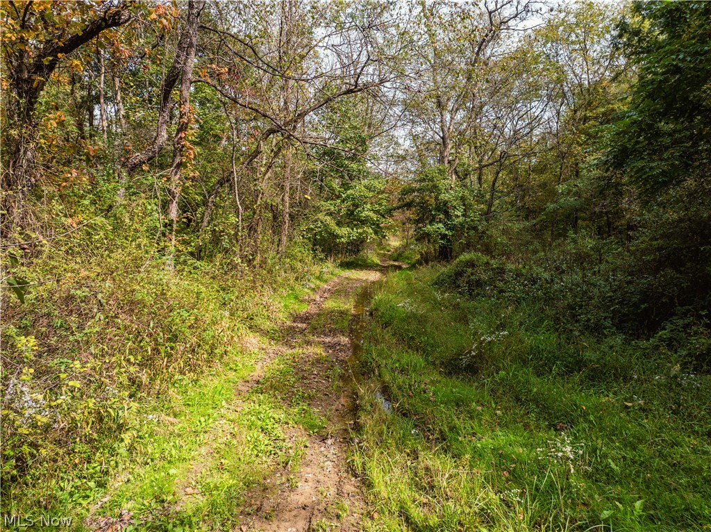 5871 State Route 204 Mount Perry OH 43760