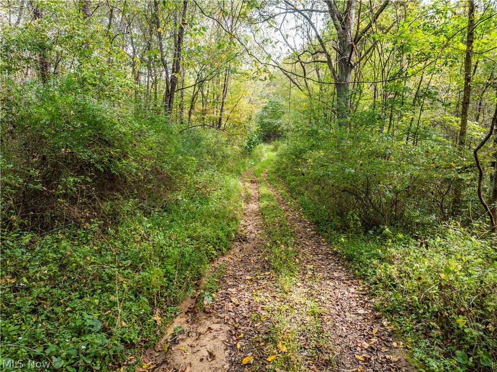 5871 State Route 204 Mount Perry OH 43760