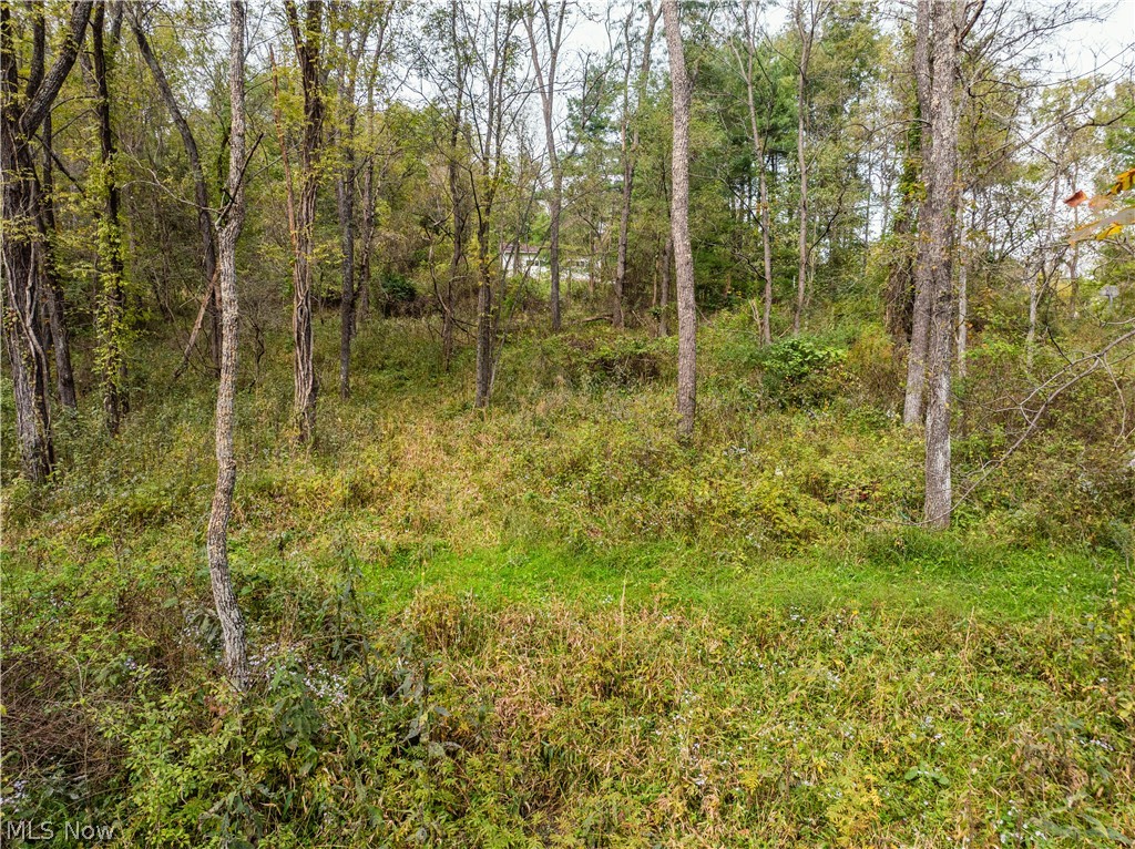5871 State Route 204 Mount Perry OH 43760