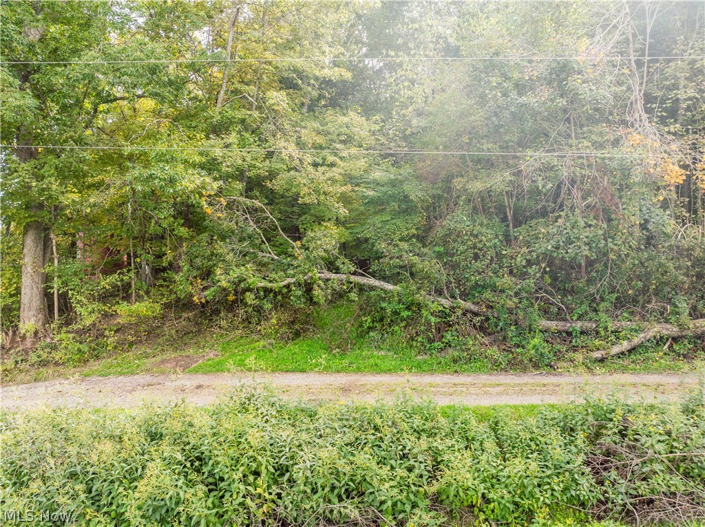 5871 State Route 204 Mount Perry OH 43760