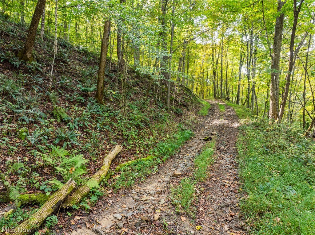 5871 State Route 204 Mount Perry OH 43760