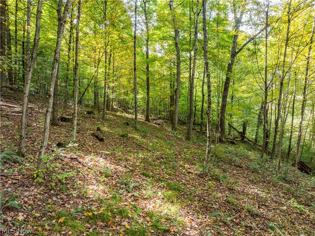 5871 State Route 204 Mount Perry OH 43760
