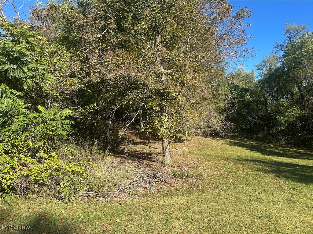 Fairmont Avenue Barnesville OH 43713