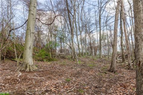 105 W Hanley Road Mansfield OH 44904
