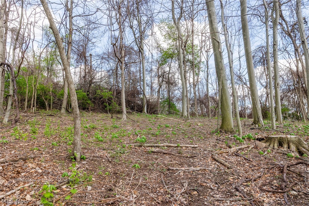 105 W Hanley Road Mansfield OH 44904