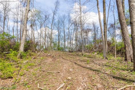 105 W Hanley Road Mansfield OH 44904
