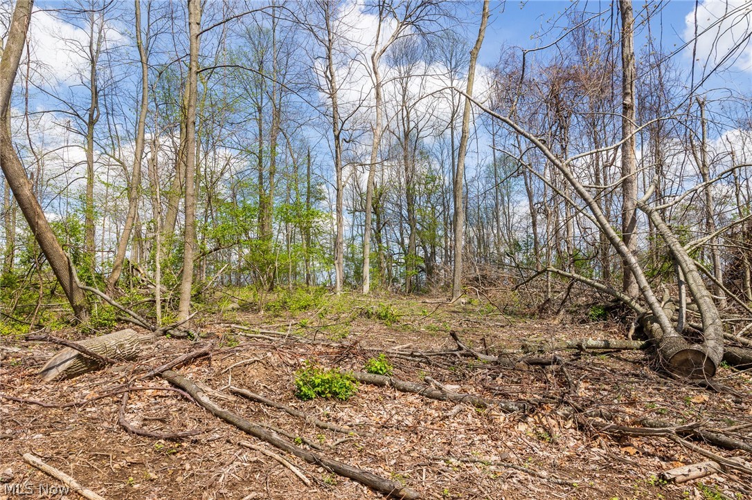 105 W Hanley Road Mansfield OH 44904