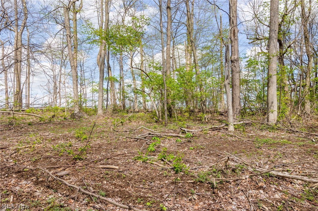 105 W Hanley Road Mansfield OH 44904