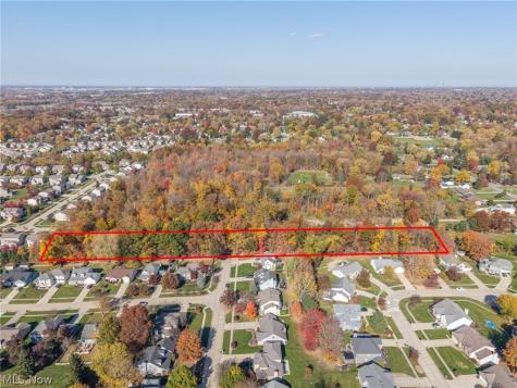 V/l Webster Strongsville OH 44136