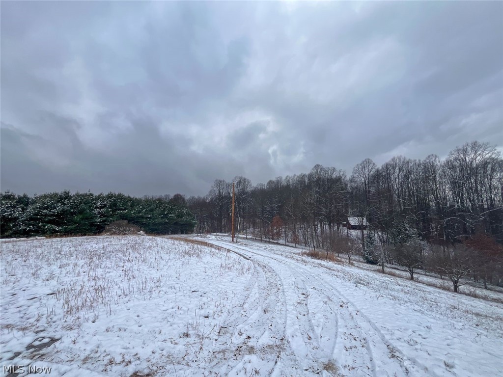 87085 Crall Road Scio OH 43988
