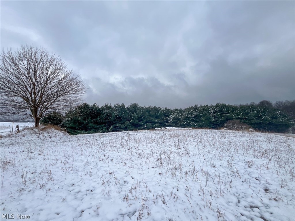 87085 Crall Road Scio OH 43988