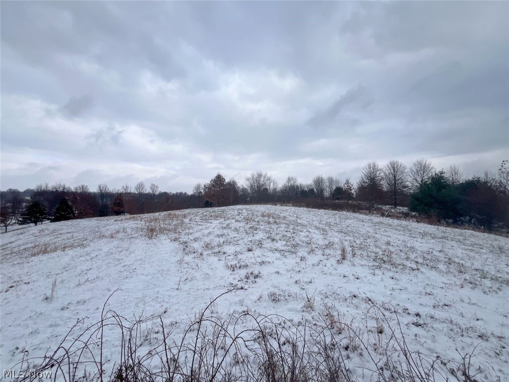 87085 Crall Road Scio OH 43988