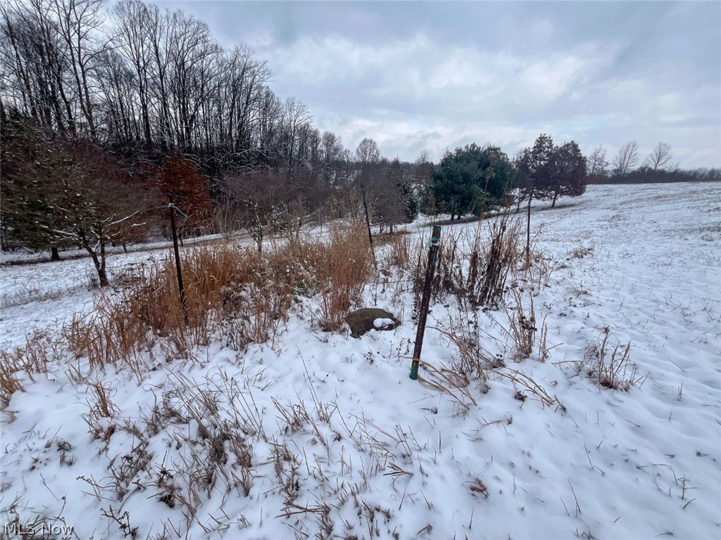 87085 Crall Road Scio OH 43988