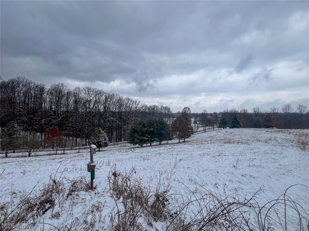 87085 Crall Road Scio OH 43988