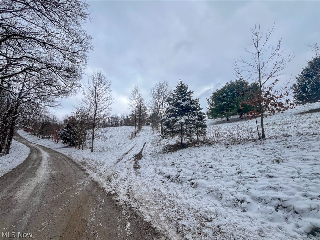 87085 Crall Road Scio OH 43988
