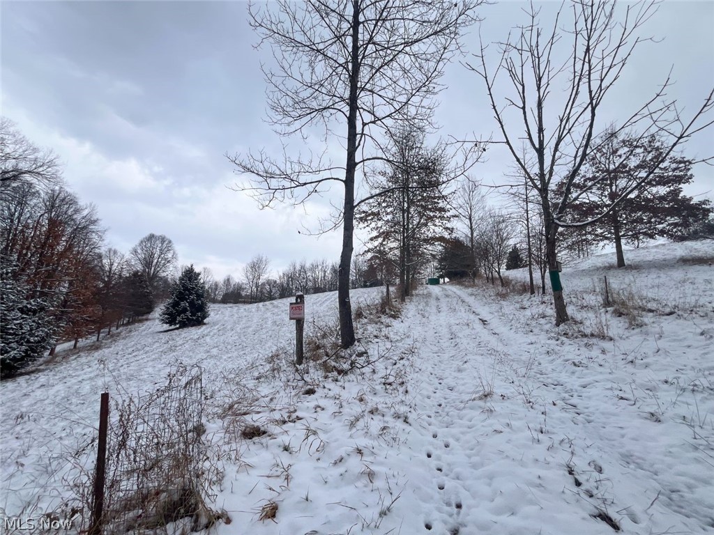 87085 Crall Road Scio OH 43988