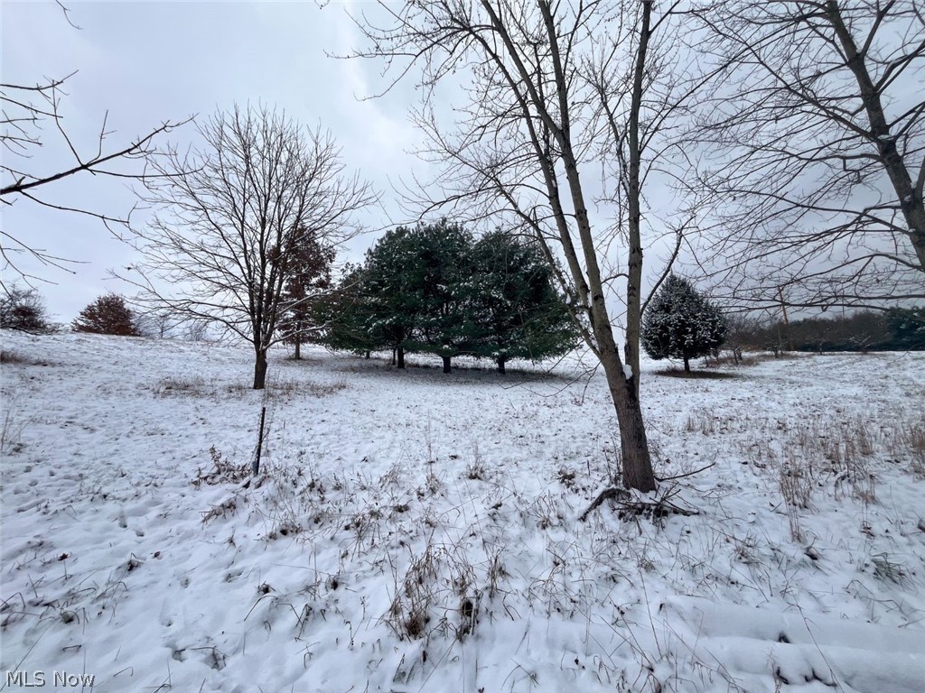 87085 Crall Road Scio OH 43988