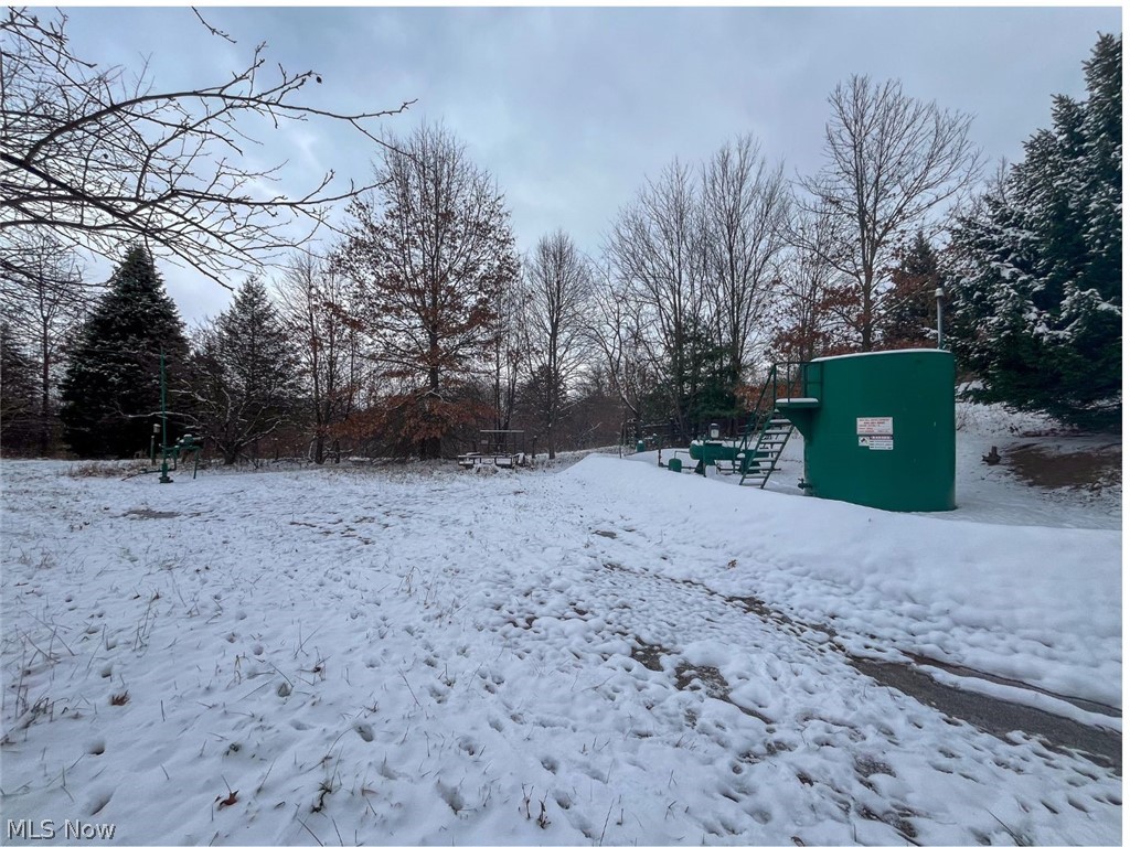 87085 Crall Road Scio OH 43988