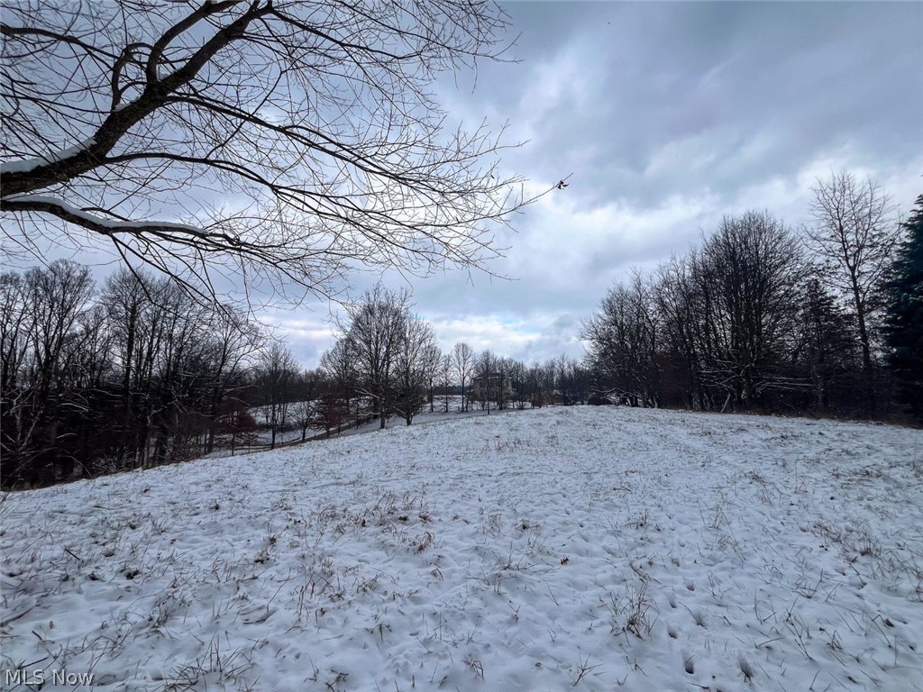 87085 Crall Road Scio OH 43988