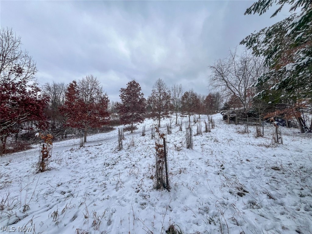 87085 Crall Road Scio OH 43988