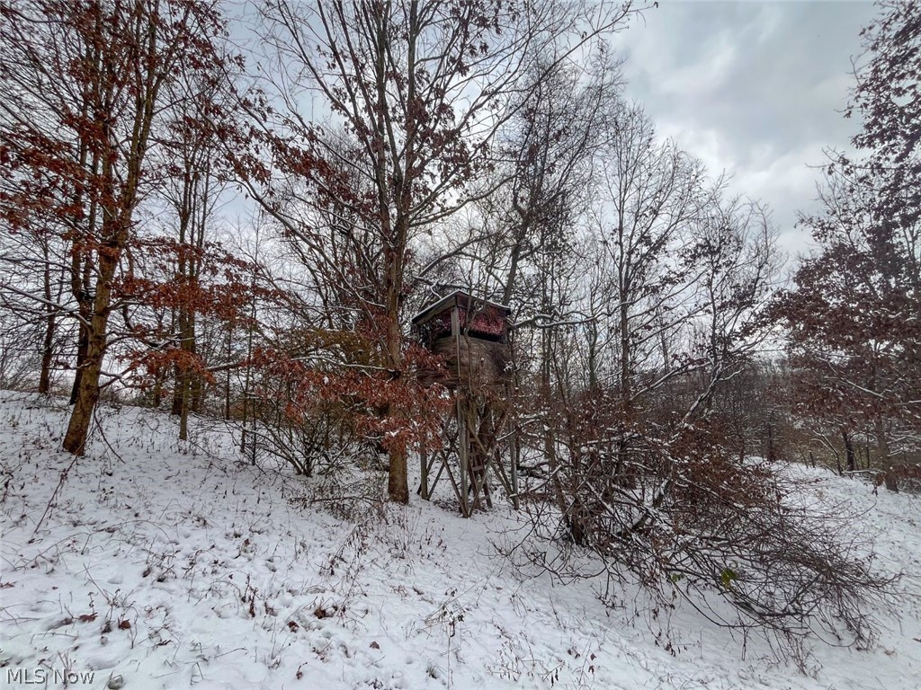 87085 Crall Road Scio OH 43988