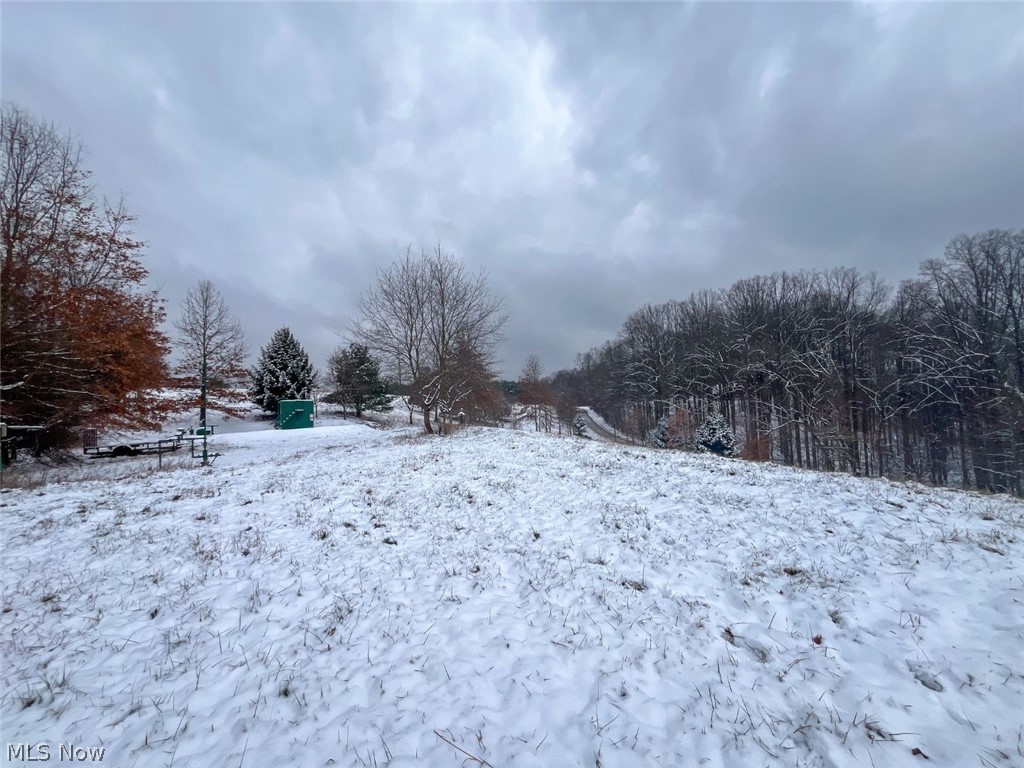 87085 Crall Road Scio OH 43988