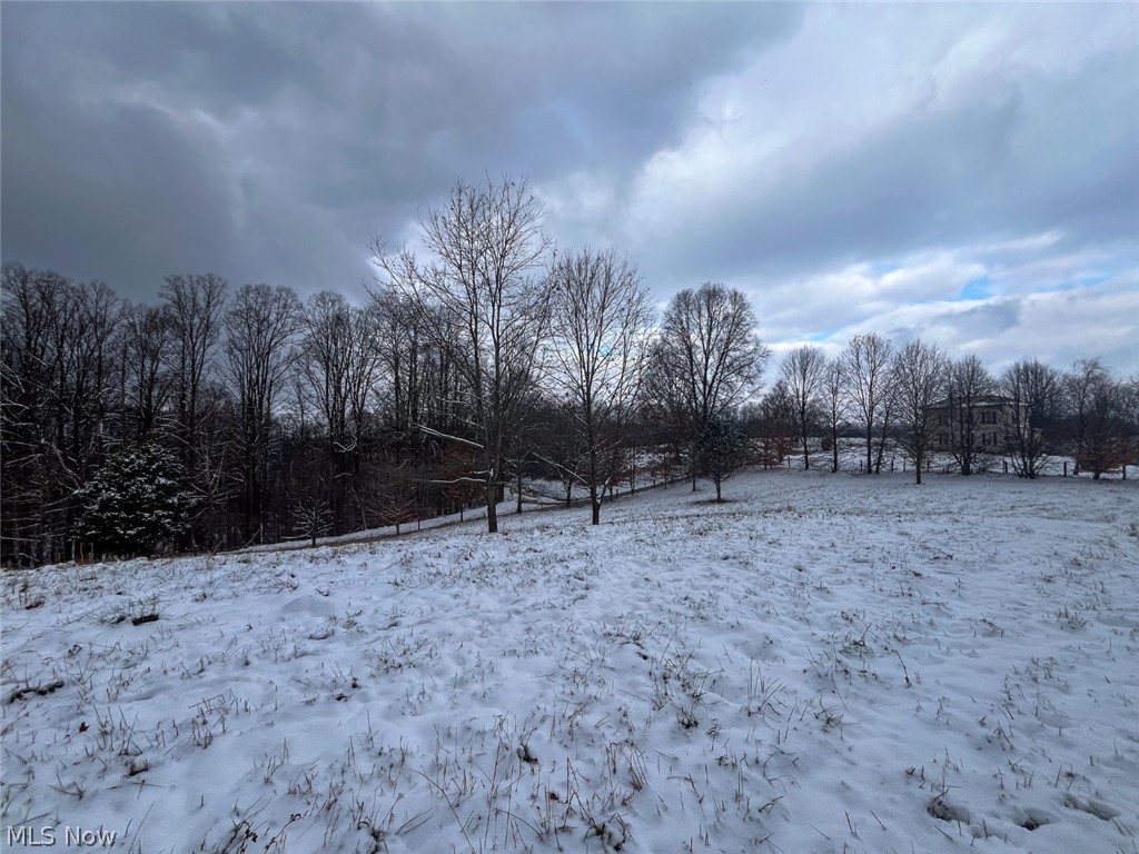 87085 Crall Road Scio OH 43988
