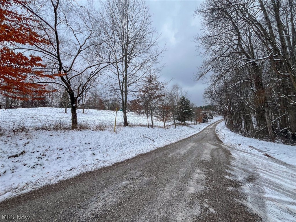 87085 Crall Road Scio OH 43988