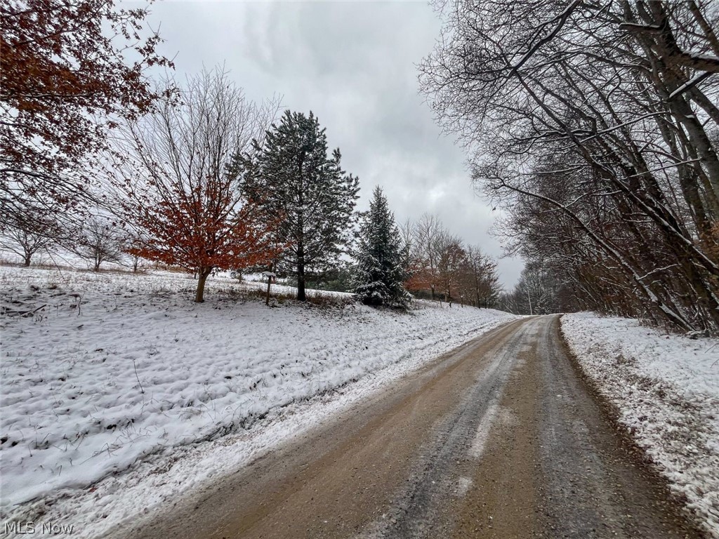 87085 Crall Road Scio OH 43988