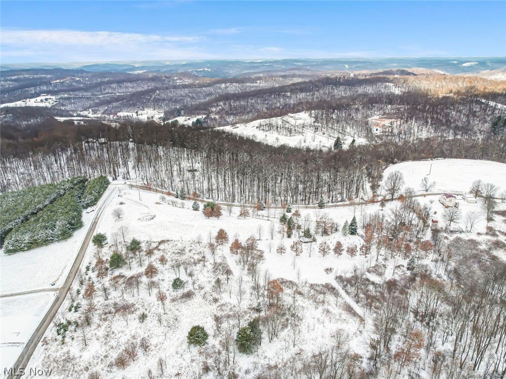 87085 Crall Road Scio OH 43988