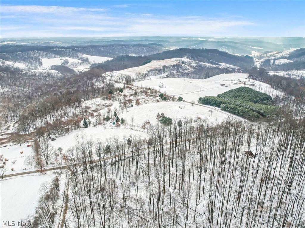 87085 Crall Road Scio OH 43988