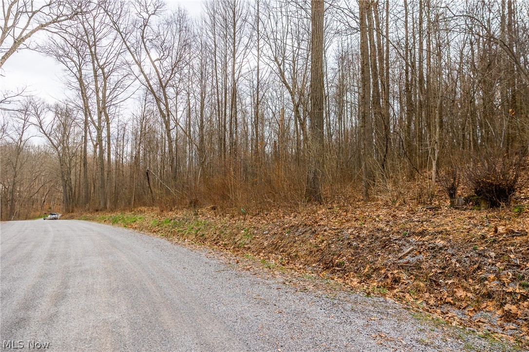 Pledge Road Carrollton OH 44615