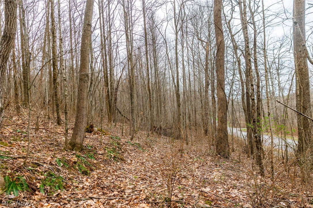 Pledge Road Carrollton OH 44615