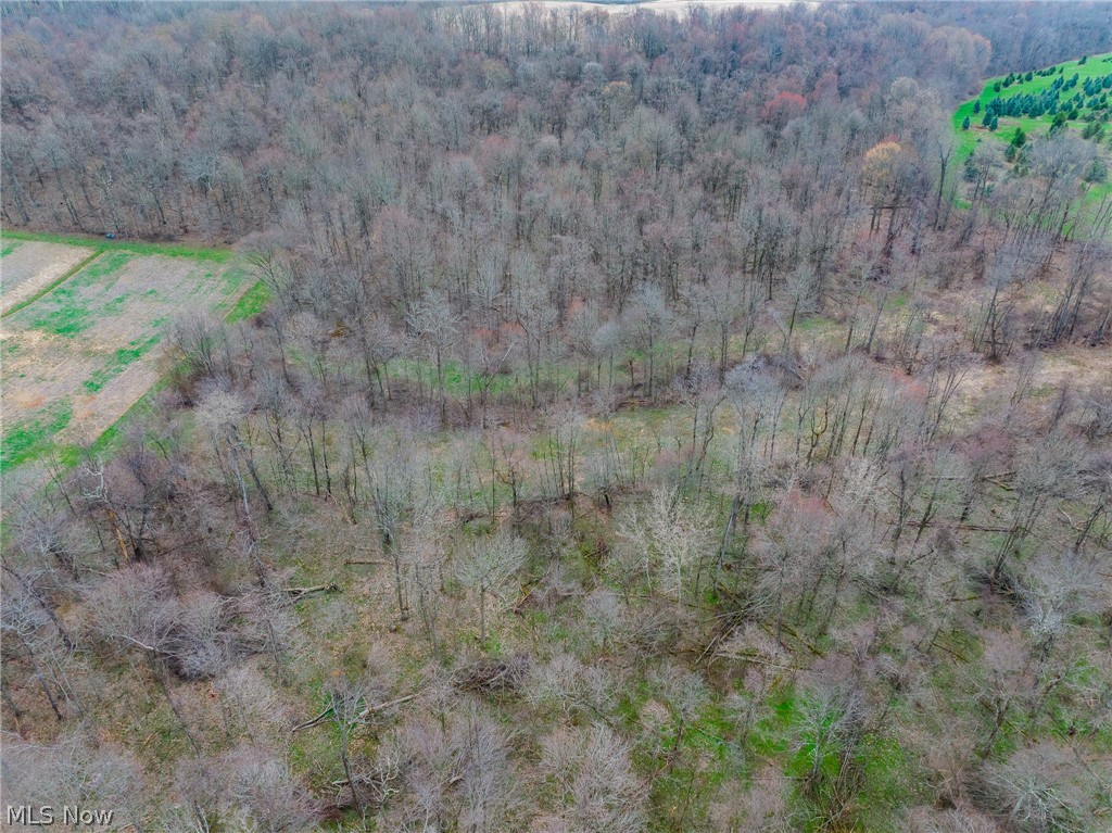 Pledge Road Carrollton OH 44615