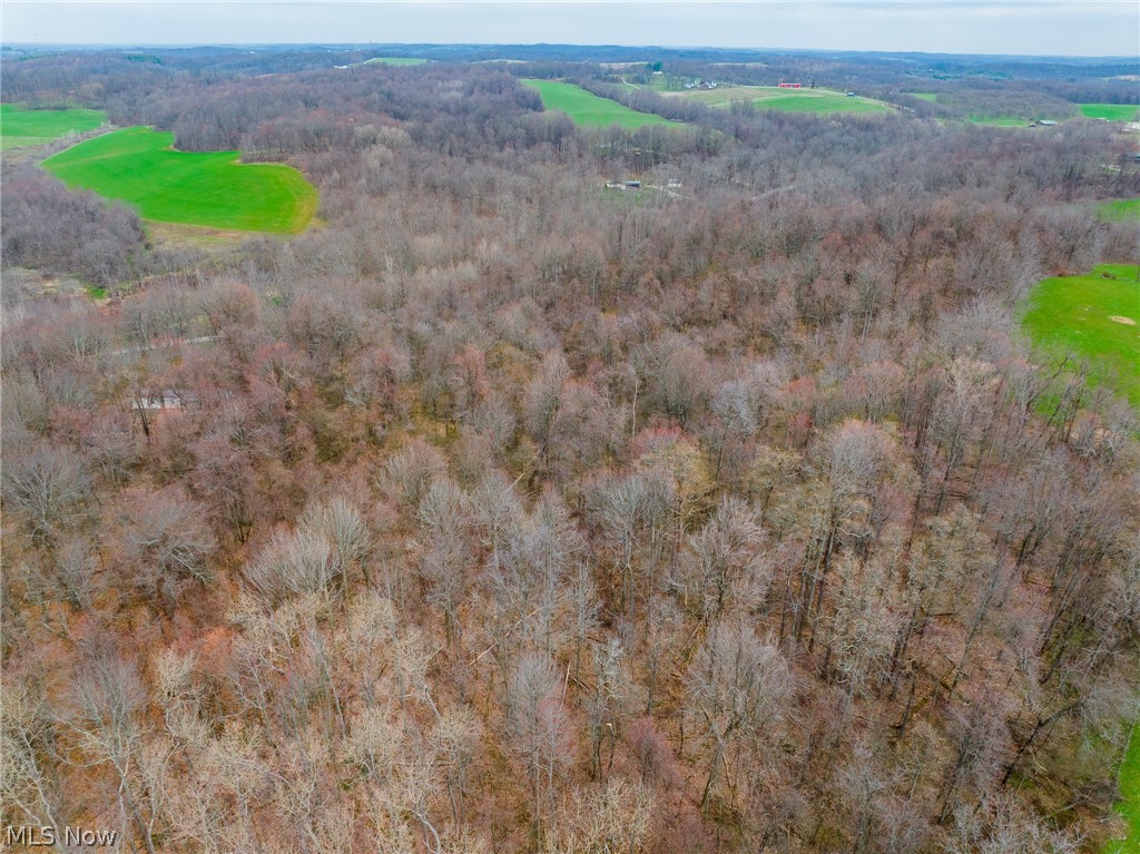 Pledge Road Carrollton OH 44615