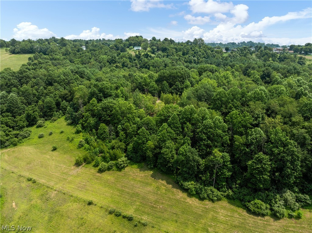 Pultney Avenue Barnesville OH 43713