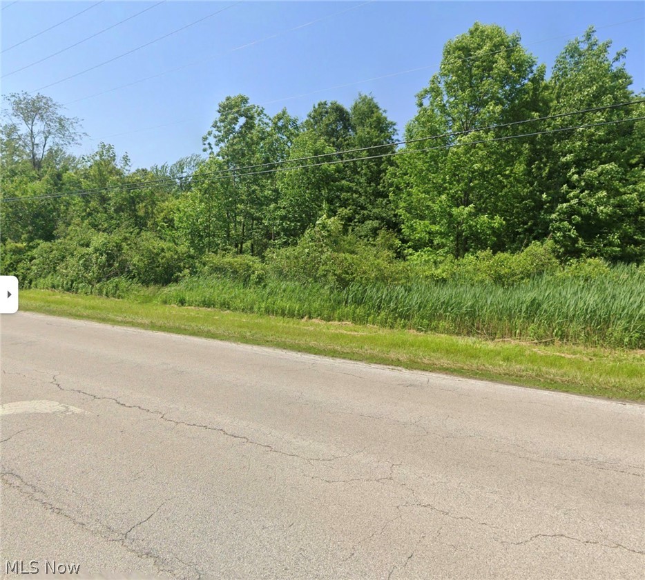 0 Wade Avenue Ashtabula OH 44004