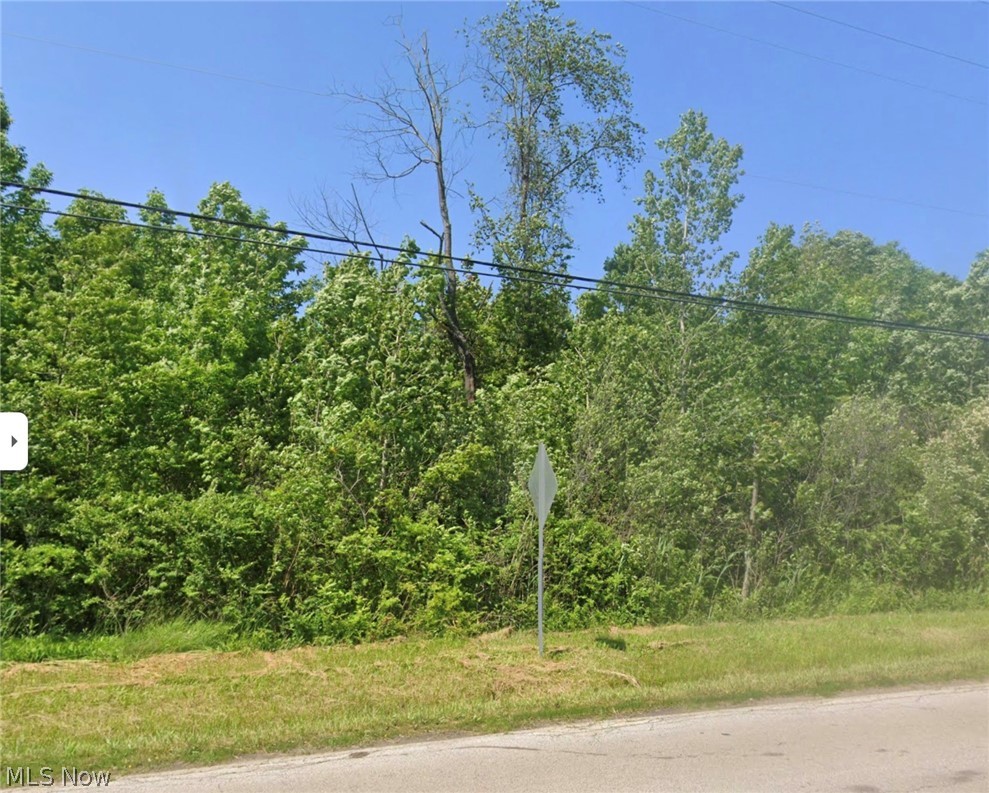 0 Wade Avenue Ashtabula OH 44004