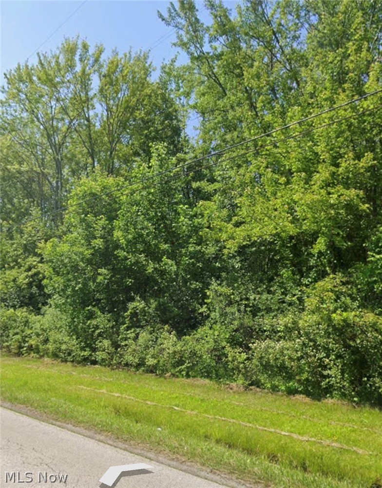 0 Wade Avenue Ashtabula OH 44004