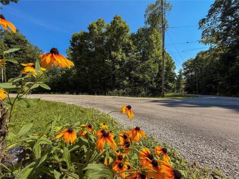Maderia Drive West Salem OH 44287
