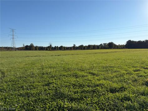 10580 Bandy Road North Benton OH 44449